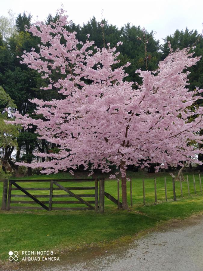 The Homestead Lago Lago Taupo Exterior foto